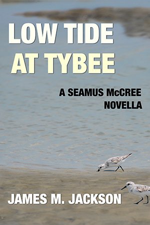 Low Tide at Tybee
